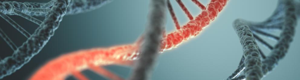 DNA strengen met 1 rode streng