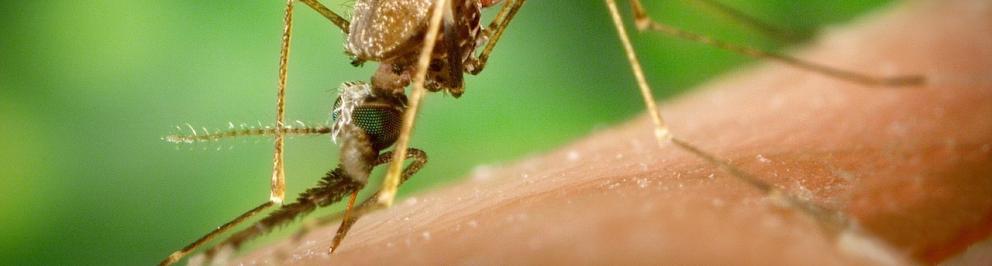 Volgezogen mug op huid met groene achtergrond
