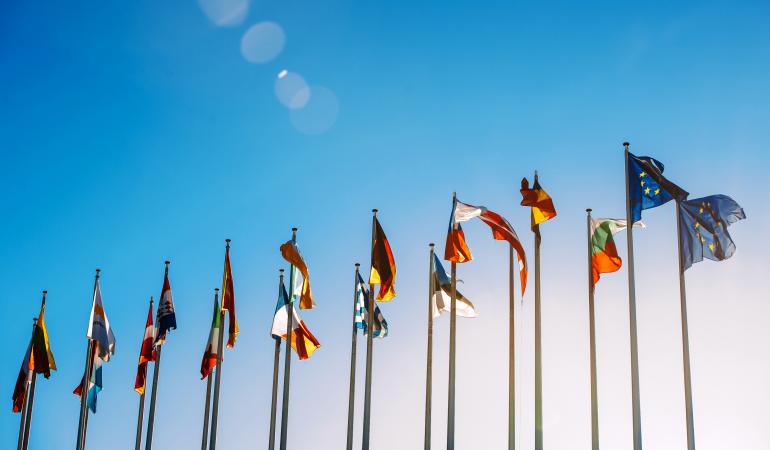 Vlaggen EU landen en EU Vlaggen EU landen en EU