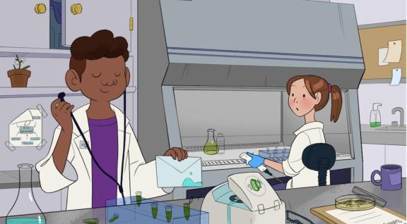 Wat is er hier mis met de bioveiligheid?