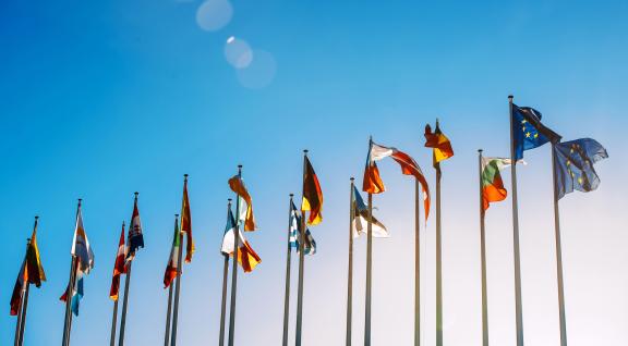 Vlaggen EU landen en EU