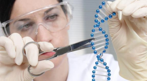 Laborant zet schaar in DNA model