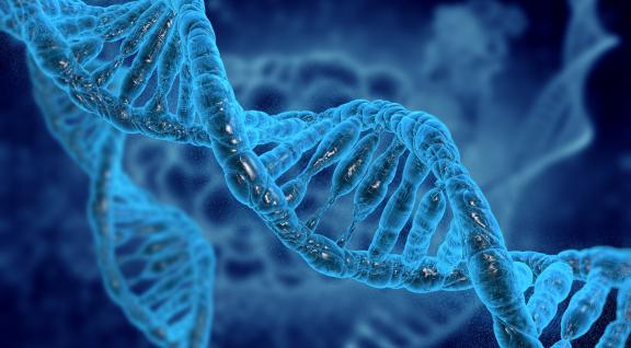 DNA strengen op blauwe achtergrond